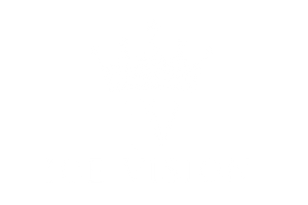 IceVision
